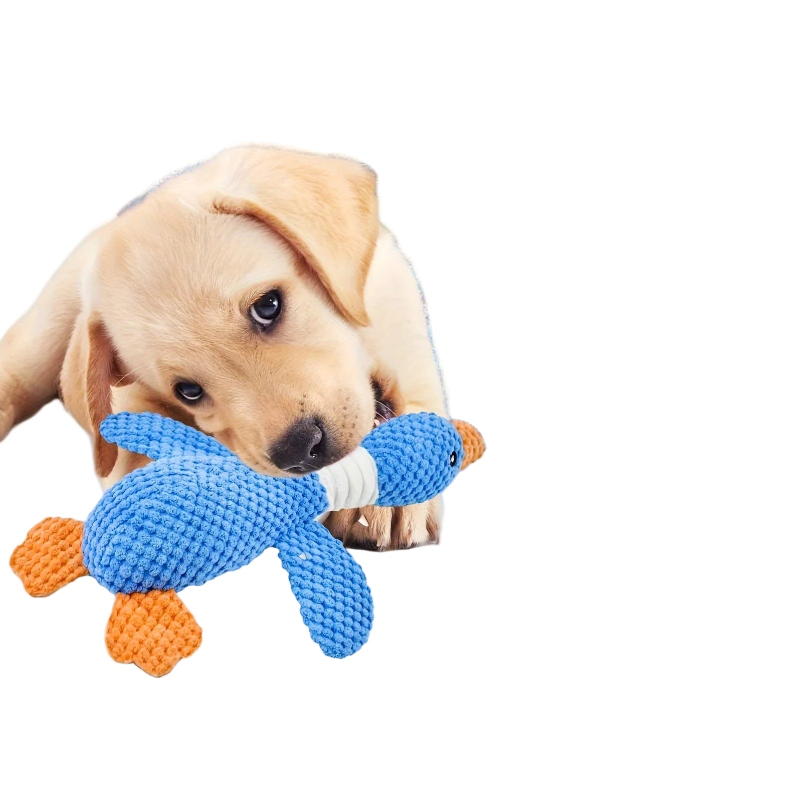 A88d5b6a59f4649bd913e348a821391a53