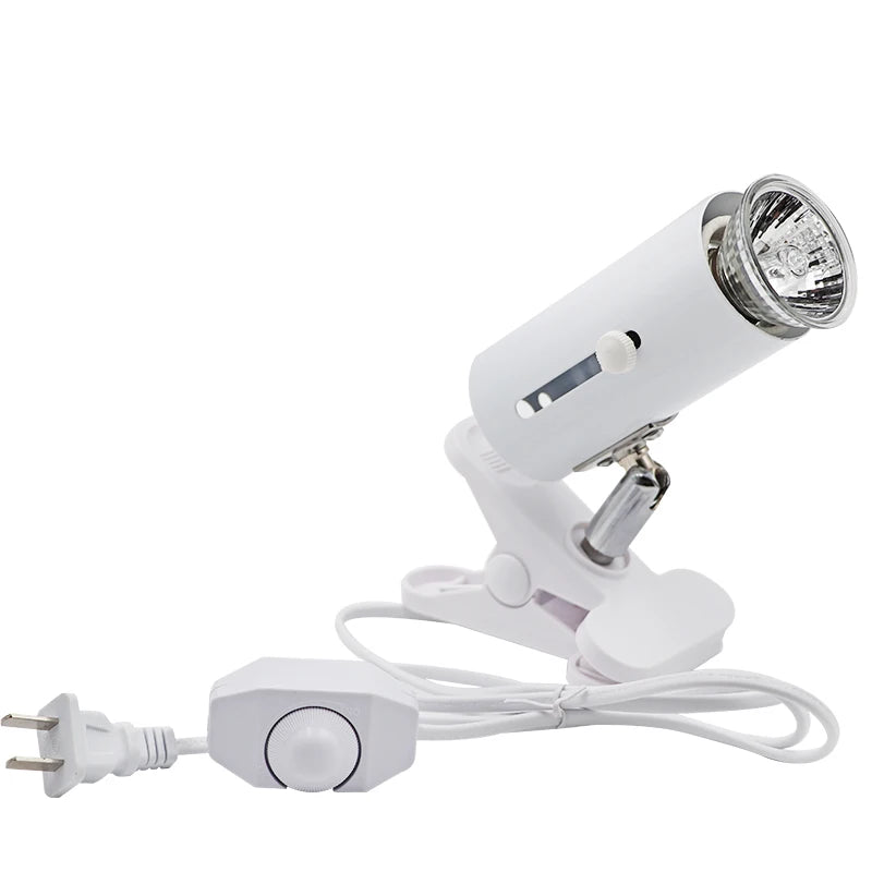 HTB1lWJcRgHqK1RjSZFEq6AGMXXaK