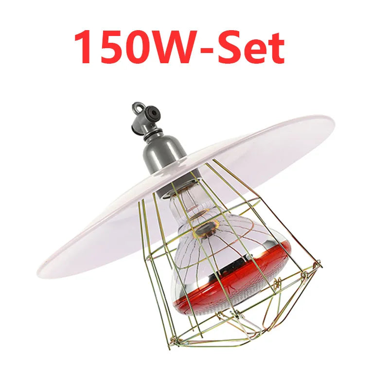 S1604fe6012ea4b7592391f22a78a21e4Z