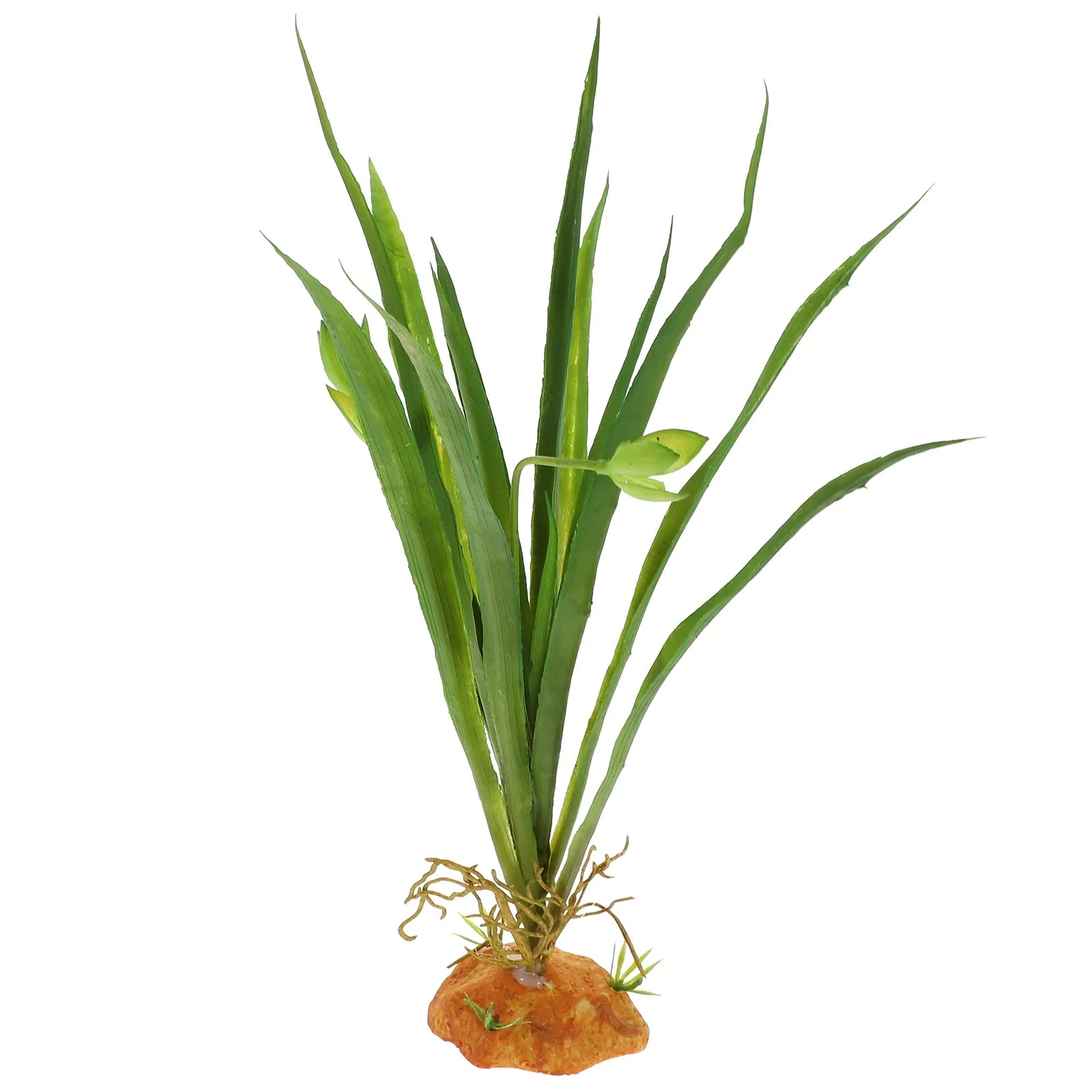 S262ba851d85c4222b99f6aca0d37ed779