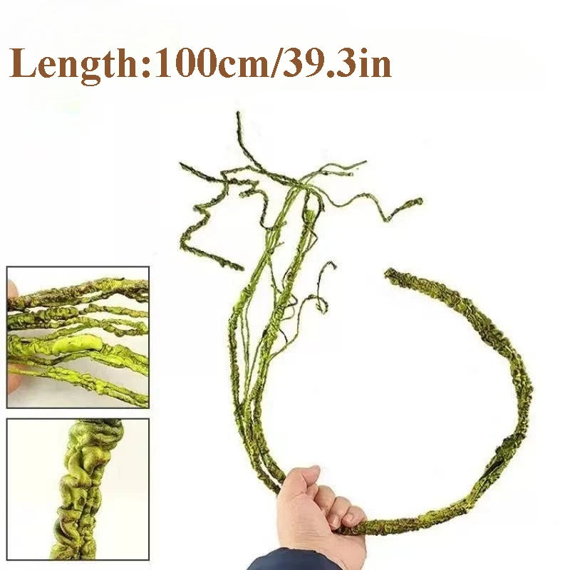 S4f3c408a089f4992bc9faf1e1060521eo