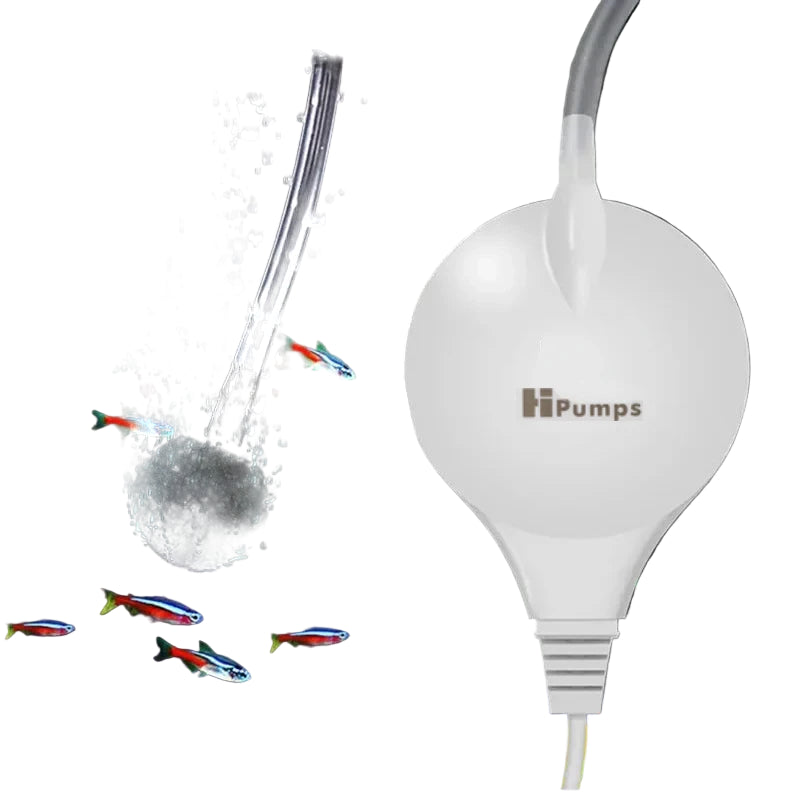 S53ed6ea549104911a4bb1f10c55d7925B