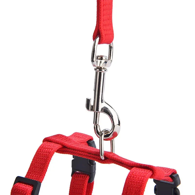 S5a7eed5aa8fd47978bd24d01406fd1bcV