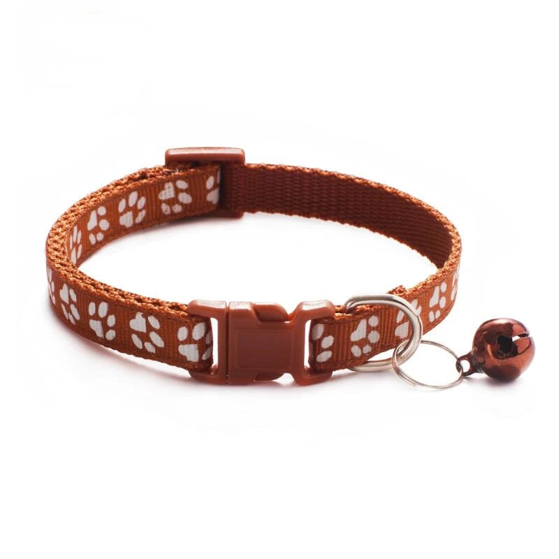 S5c897d5ae211475f9b42e184ab57ce90L