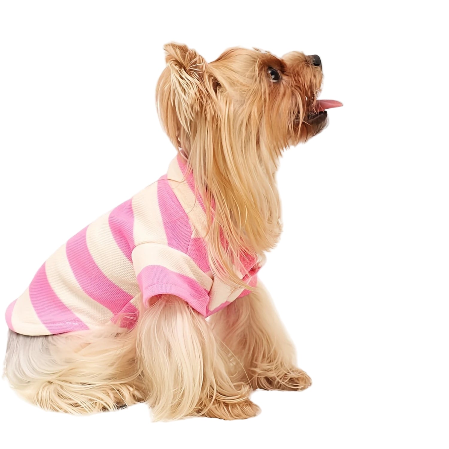 S5d15a1cddadb4ad692038985432fcb4dN