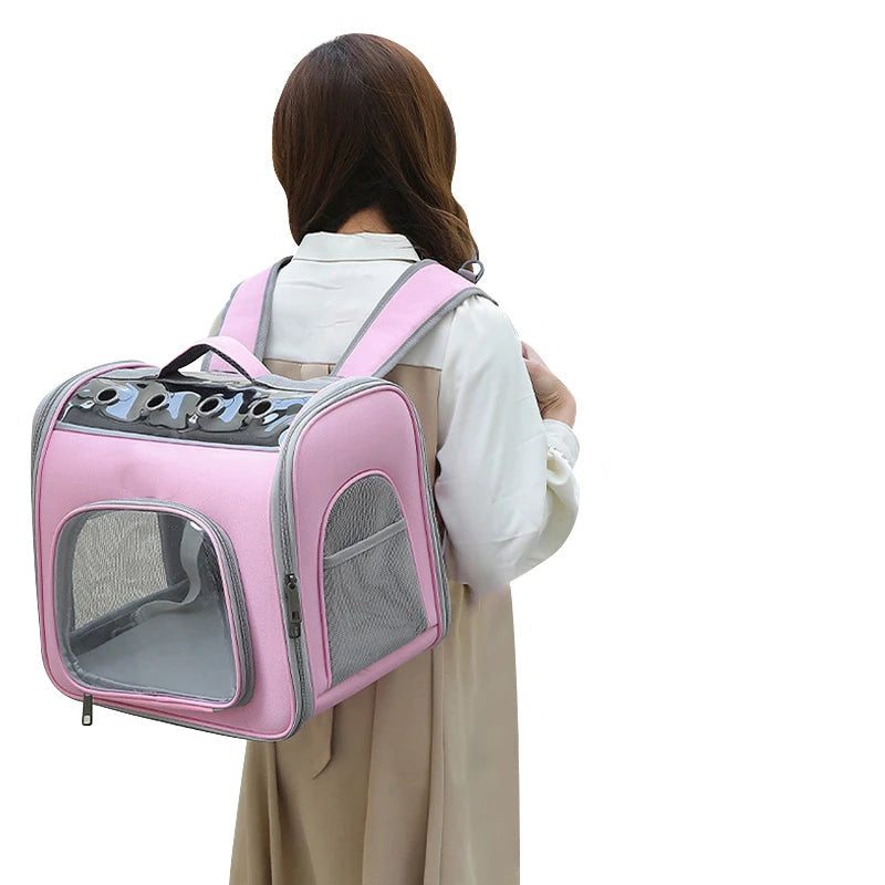 S5ee9a65c71ff4777b6b8736b89a12131D