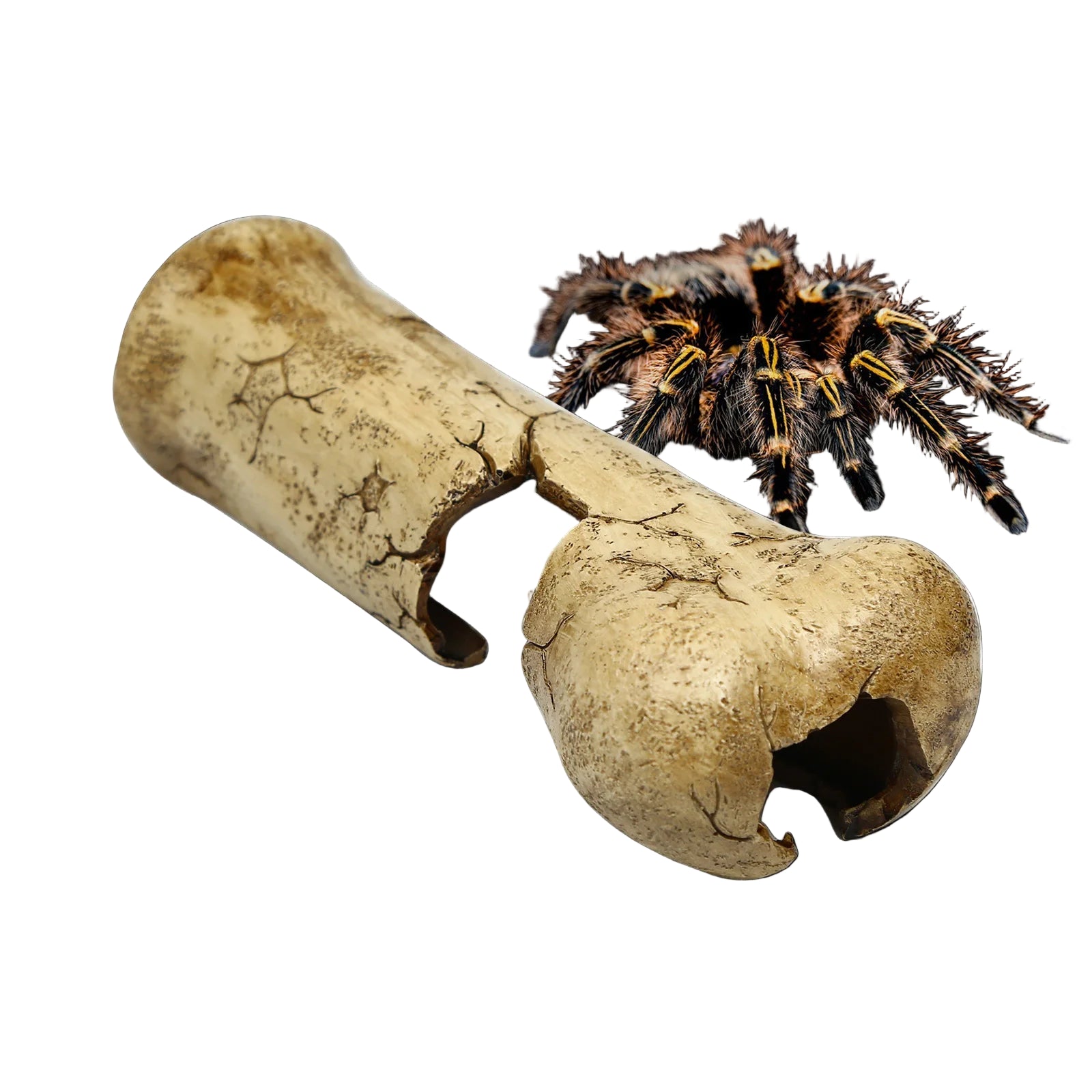 S613e59a0bae64806a4a23c6f0ee7f830k