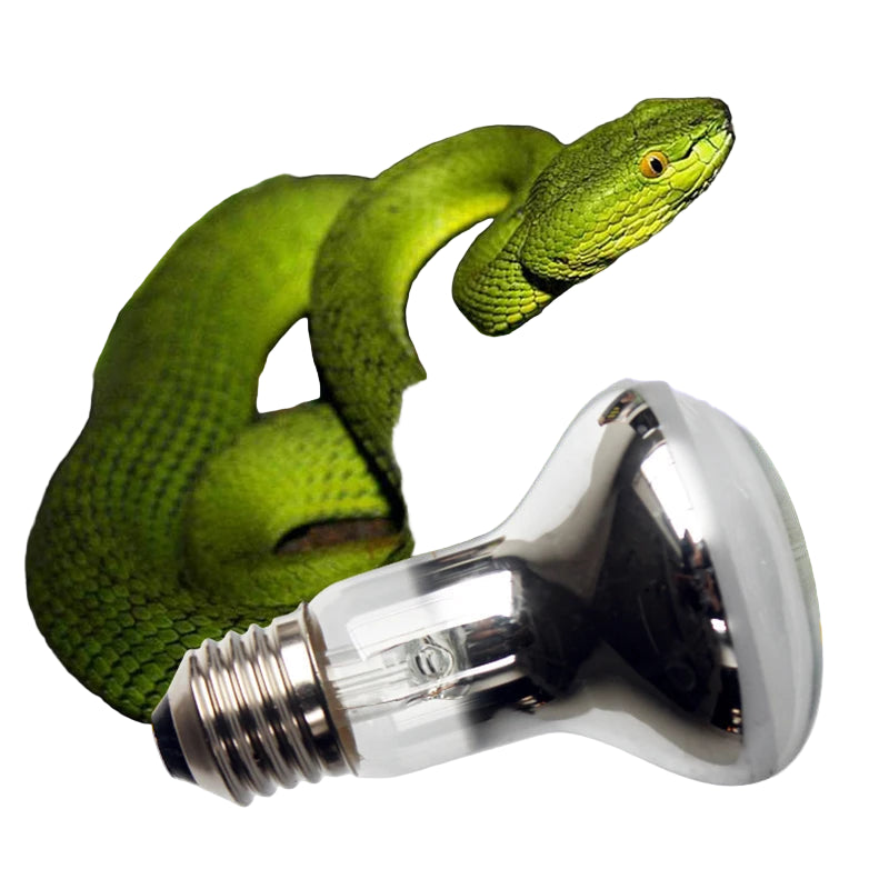 S69696bf78072444abc0861a474894de3p