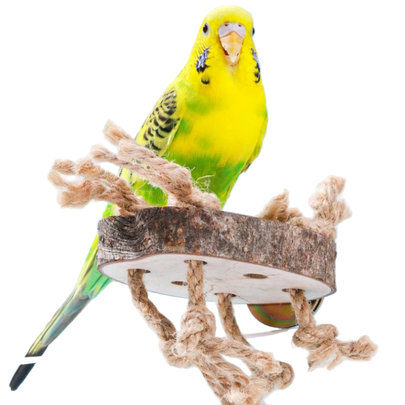 S7bdc34e884f2448b93894d5c66fdfb7es