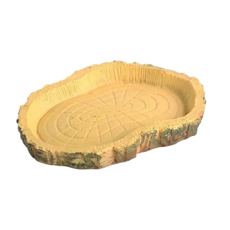 Piatto Alimenti Rettili Ciotola Materiale Resina Decorazione Gabbie Rettili