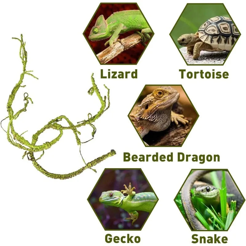 S88fcac518c3c44918ffe7388e8cb1492M