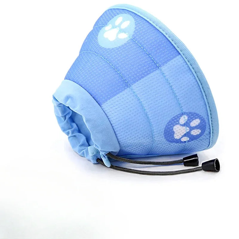 S931a0454e2384a8ebf35ed75092daef2l