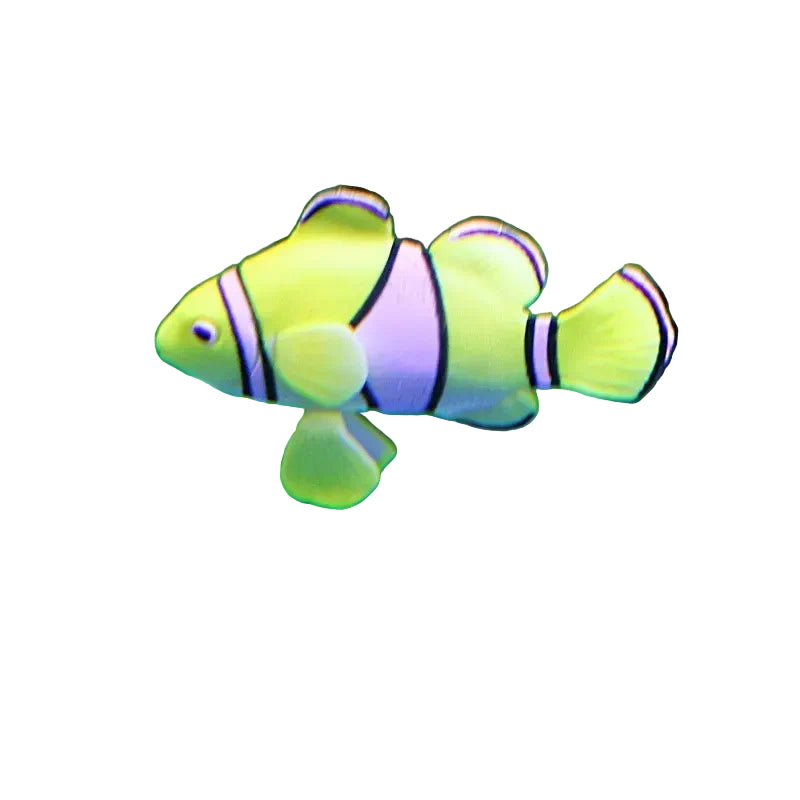 Scede3856336649638aeec2cd22ceb3c4S