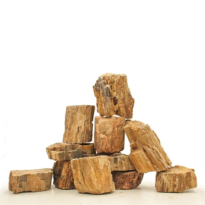 Scfb72082e8e144e69c3c8d5242c4af2bG