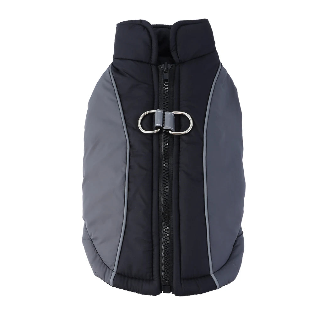 Sd1c36b7b08114dcebe7295fff77295c8l