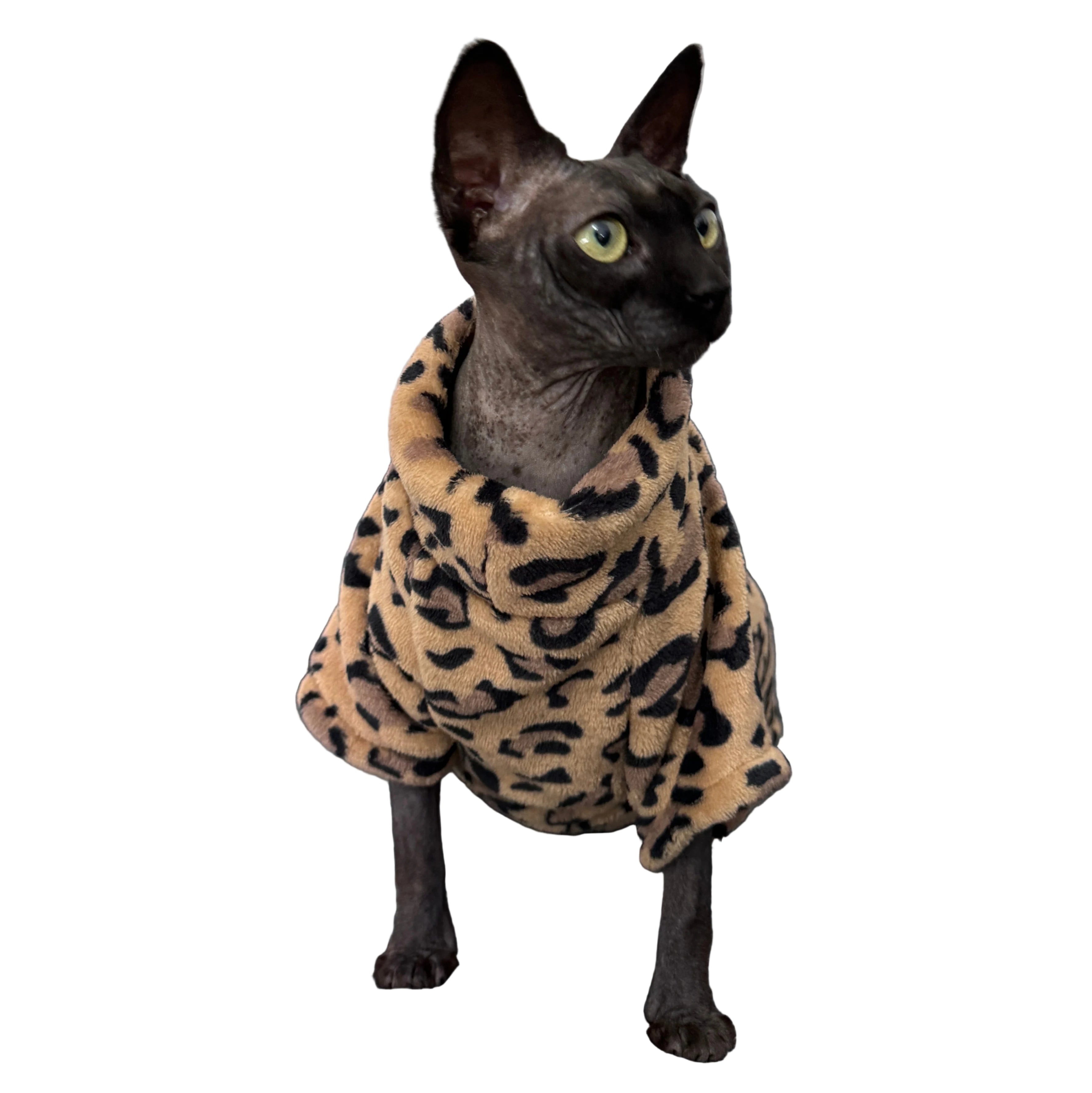 Se0b60137f91f463ca1cb429049a85f65N