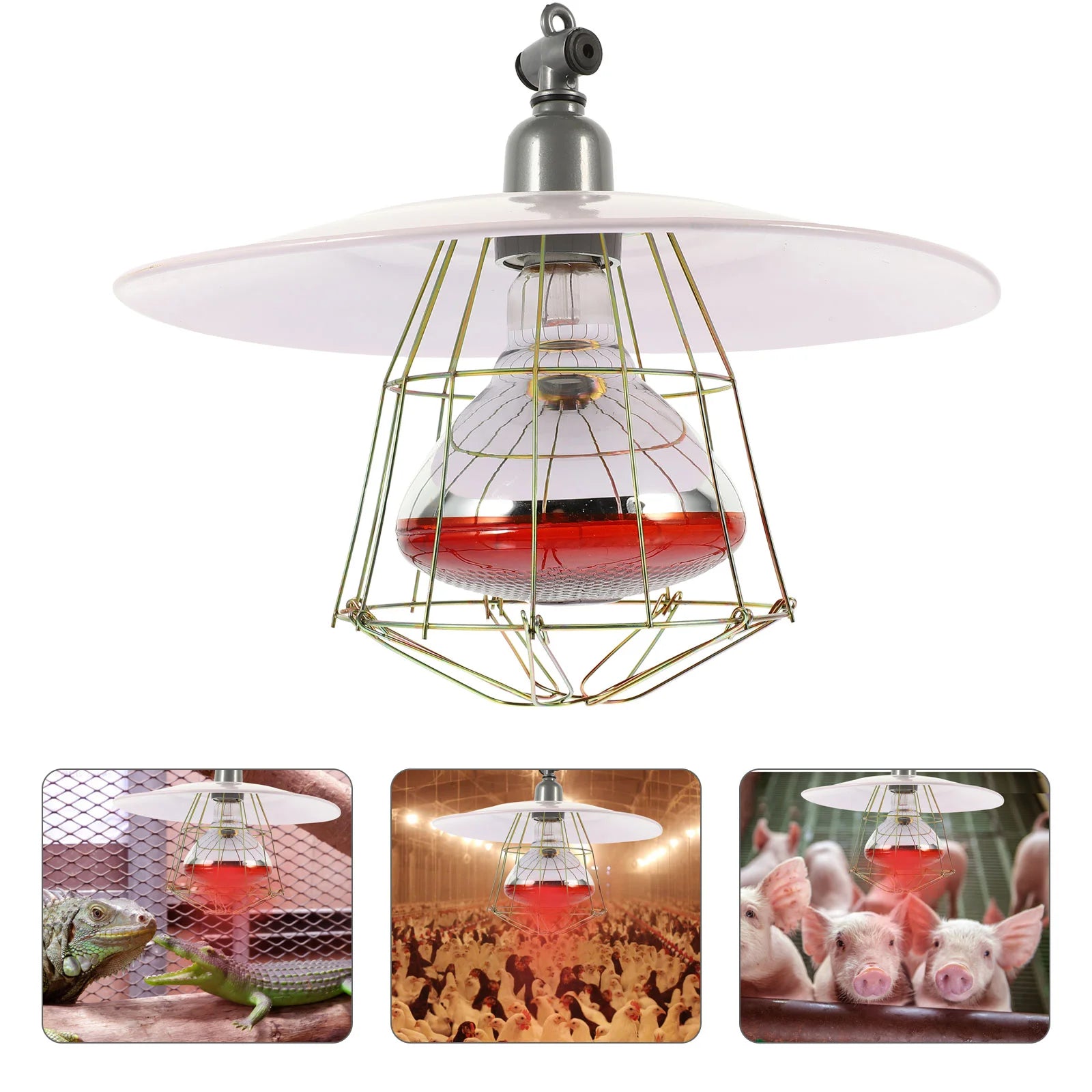 Se4d481a3bb74402eafa3780caf185fa0s