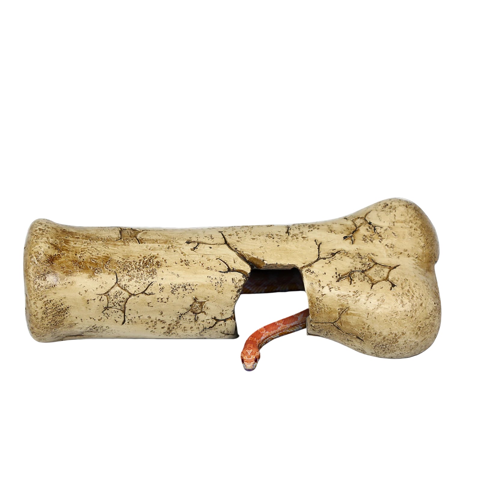 Se72416f76f02477ab547080648c4d48cw