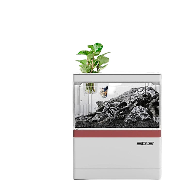 Sf9fbac31616d4c39b55c8b0e90c7a4faB