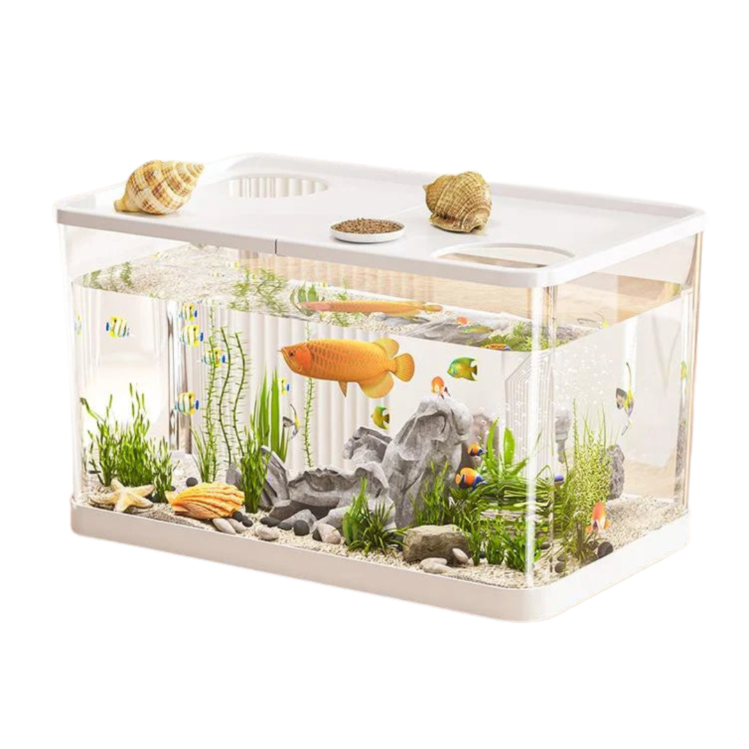 Acquario Trasparente Coperchio Incluso Elegante Decorazione Casa Habitat Pesci