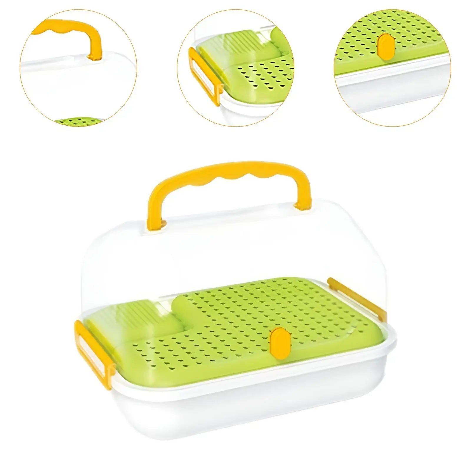 Accessori Tartarughe Gabbia Decorazione Rettile Colore Verde Materiale Plastica - WORLD HAPPY PET