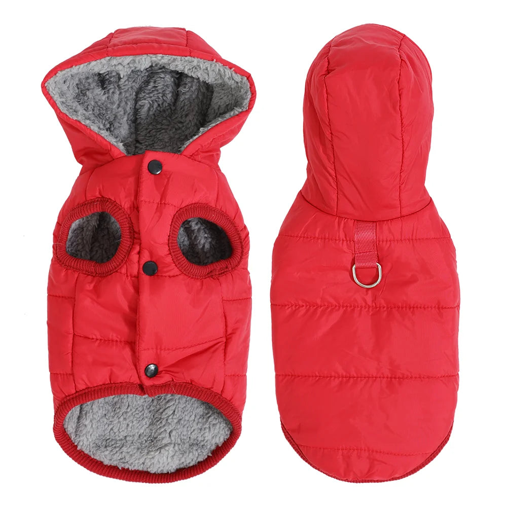 Giubbotto Cappuccio Animali Domestici Giacca Pile Diverse Colorazioni