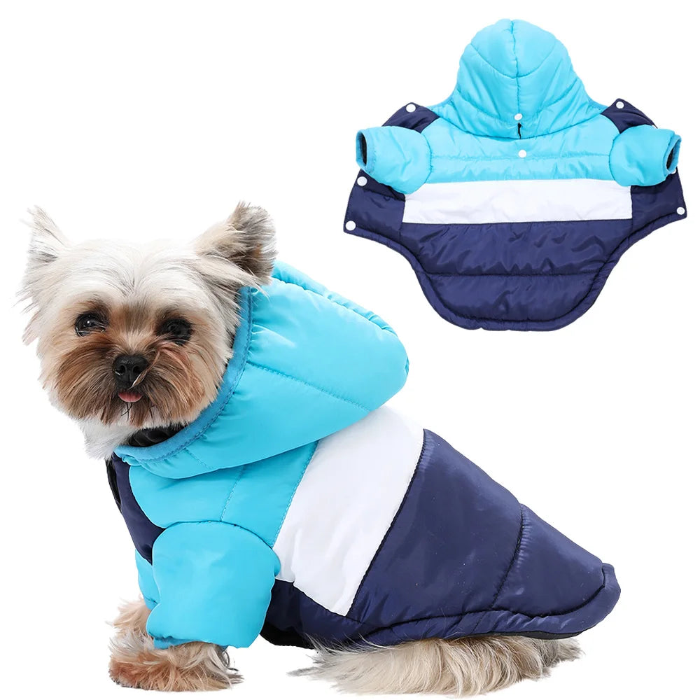 Abbigliamento Animali Domestici Cane Gatto Giubbino Giacca Freddo Pile Diversi Colori Taglie