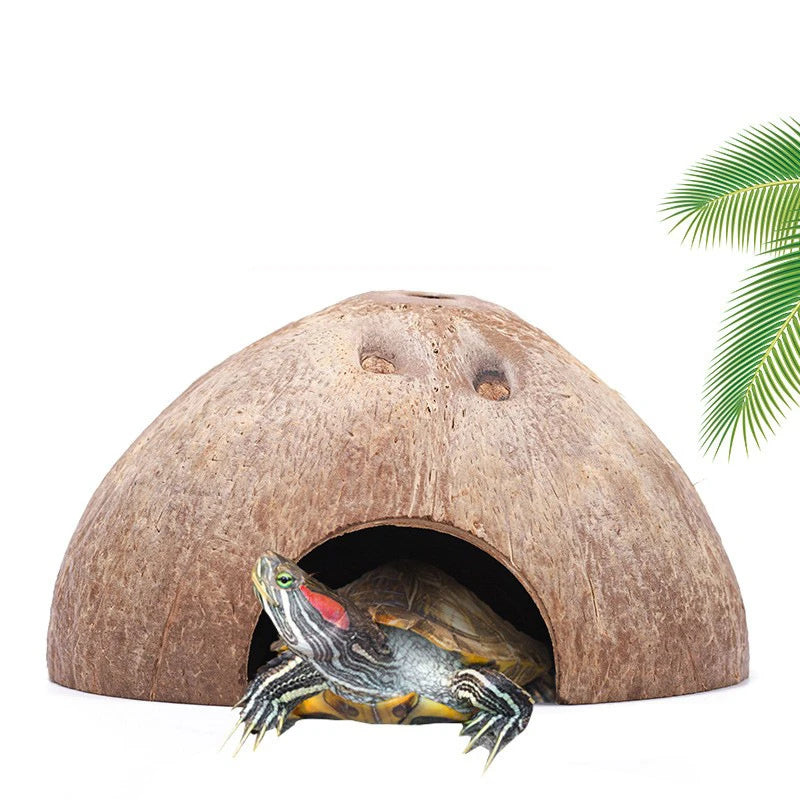 Decorazione Gabbia Rettile Grotta Guscio Cocco Naturale Colore Marrone