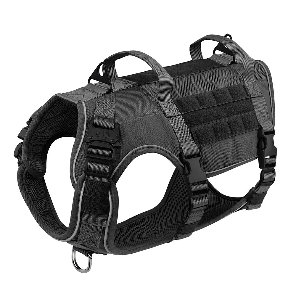 Pettorina Materiale Poliestere Diverse Colorazioni Resistente Animali Domestici Ottima Presa