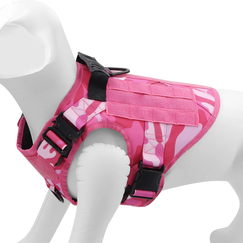 Pettorina Guinzaglio Cani Set Gilet Regolabile Animali Domestici Materiale Poliestere