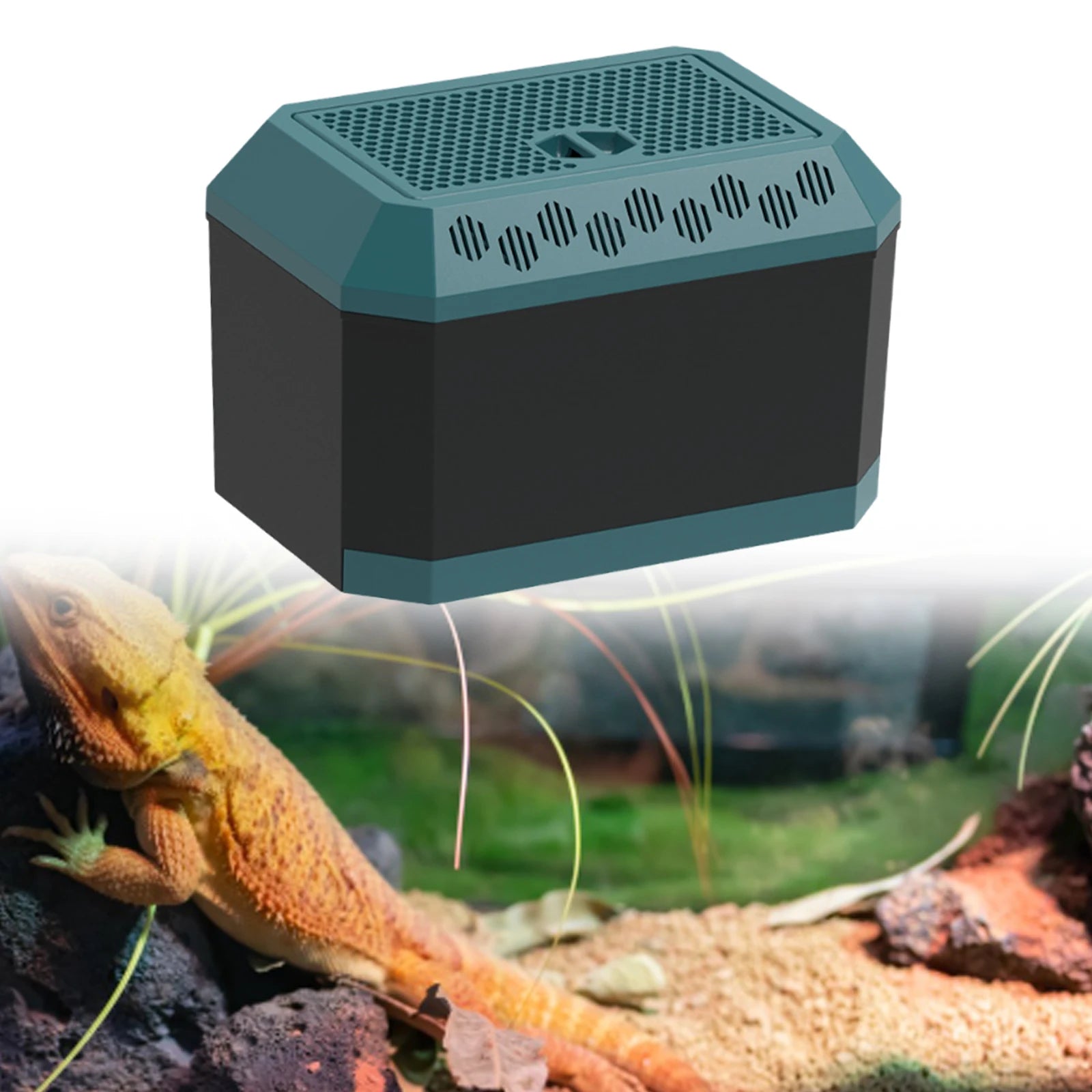 A1f69ae92e9ed449aa724116b7d0e9ecd6