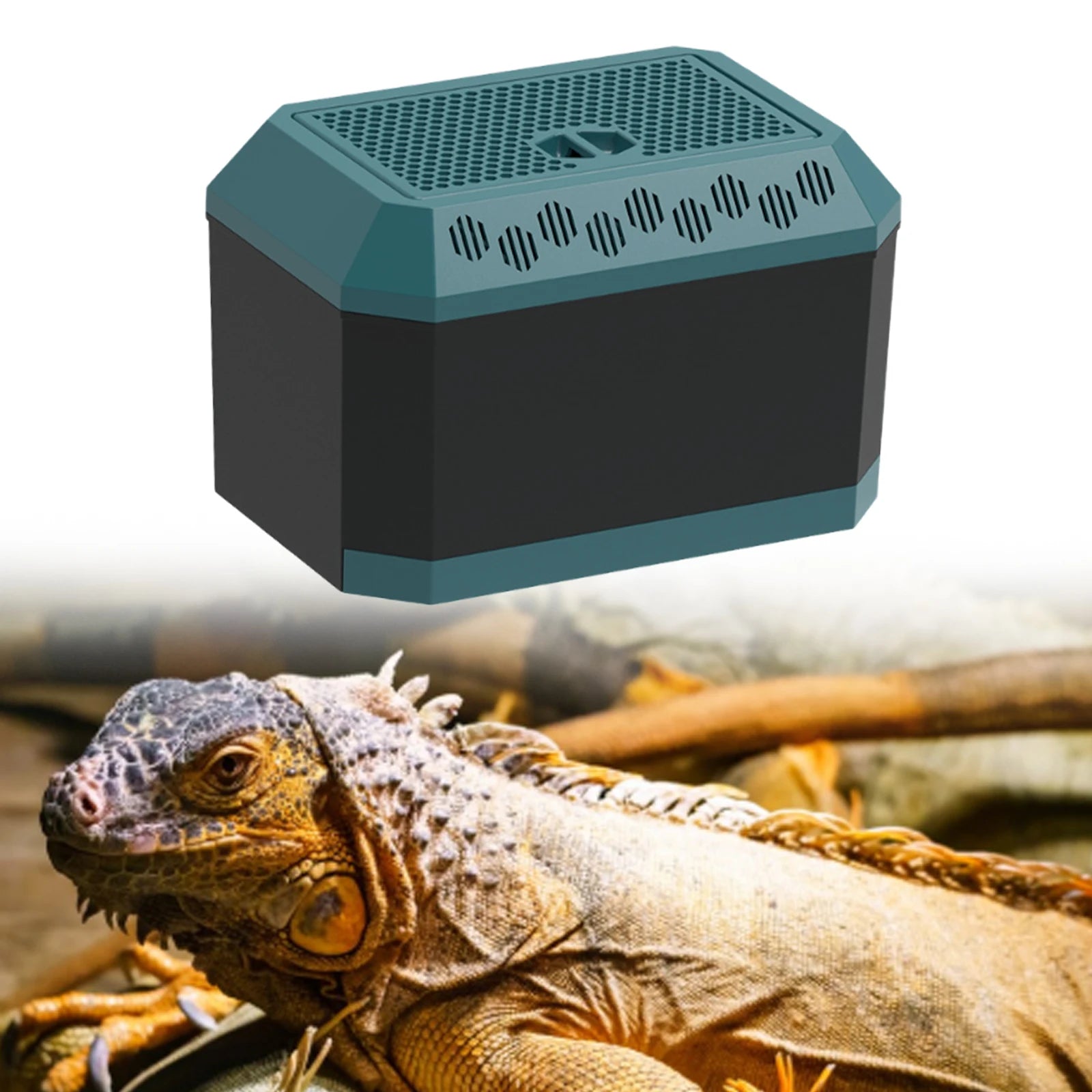 Aa6d7f602309e41c584fbc2ed4f62de1am