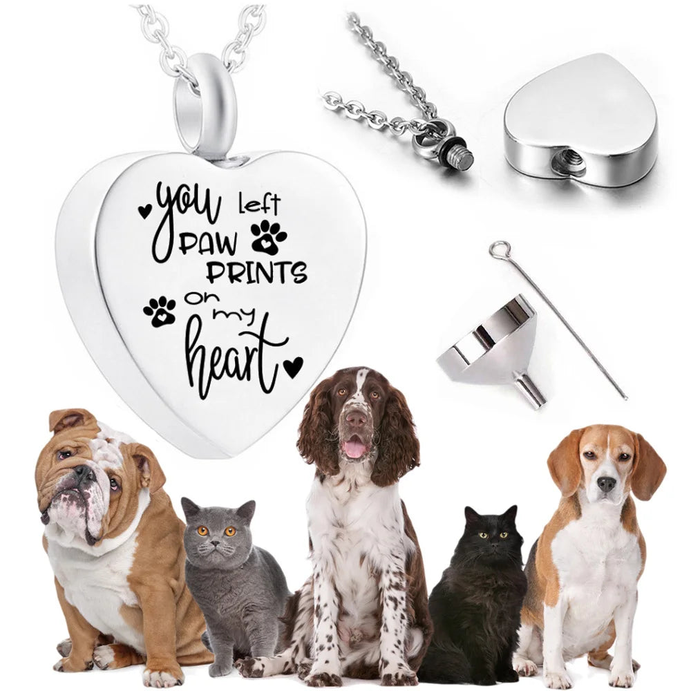 H48c6ebfaea4a4cbf8f1d1847d50e6dc5E