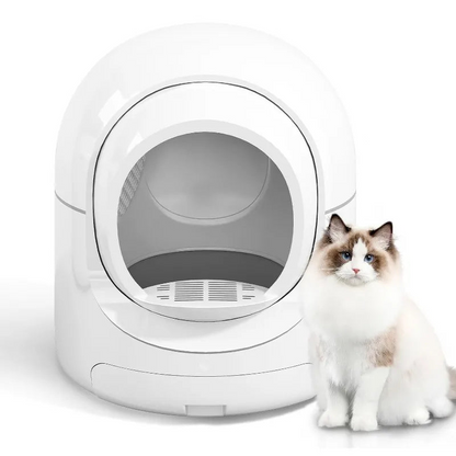 Lettiera Gatti Autopulente Automatica Controllo APP Rimozione Odori