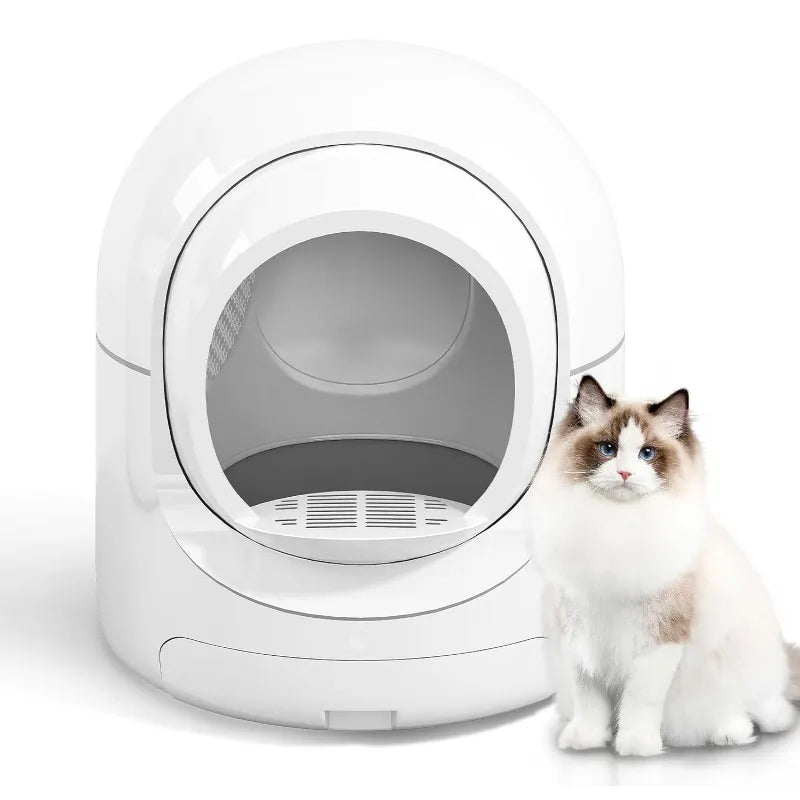 Lettiera Gatti Autopulente Automatica Controllo APP Rimozione Odori