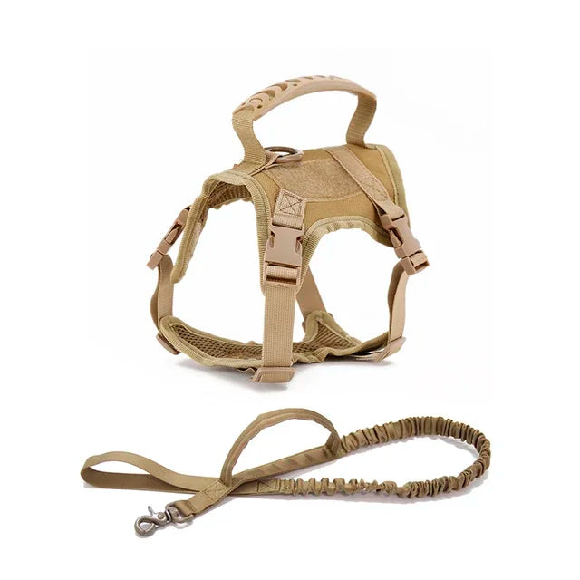 S0525a07182a348afbd6a012b17944c44V