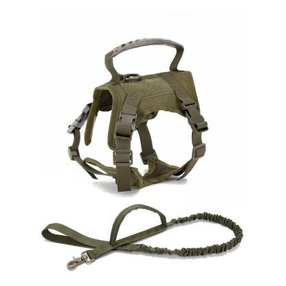 S07681baa7c8f468c8018942711e67f4bk