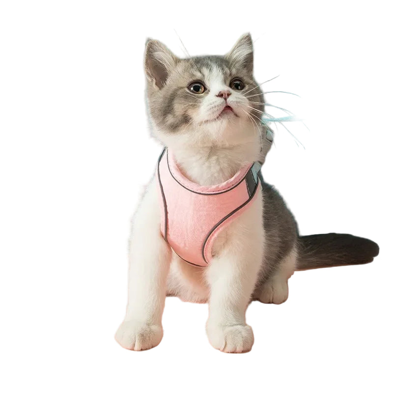 S08789e5340fb44edbc65ab05fb10e023f