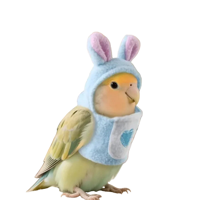 S15a41e853126482a9c3ce1f5e1dec096A