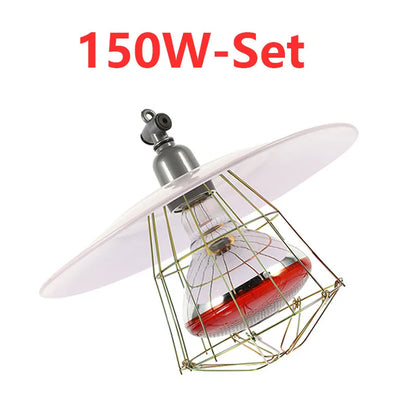 S1604fe6012ea4b7592391f22a78a21e4Z