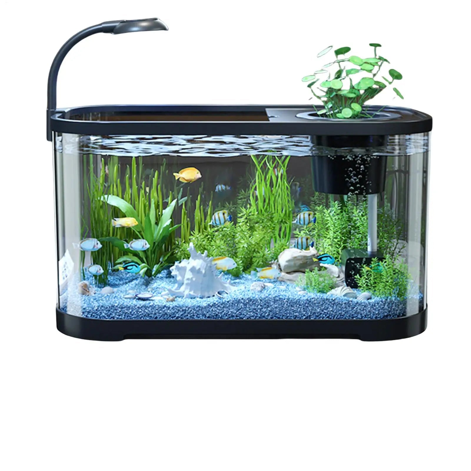 S1a52ba767b2e4a63a0751dda27e71968y