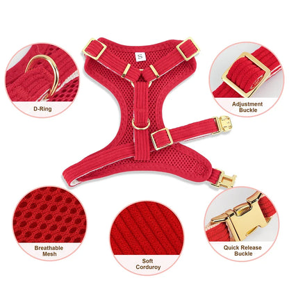 S1b7f26570f1441a09b4467bb3f7ba691t