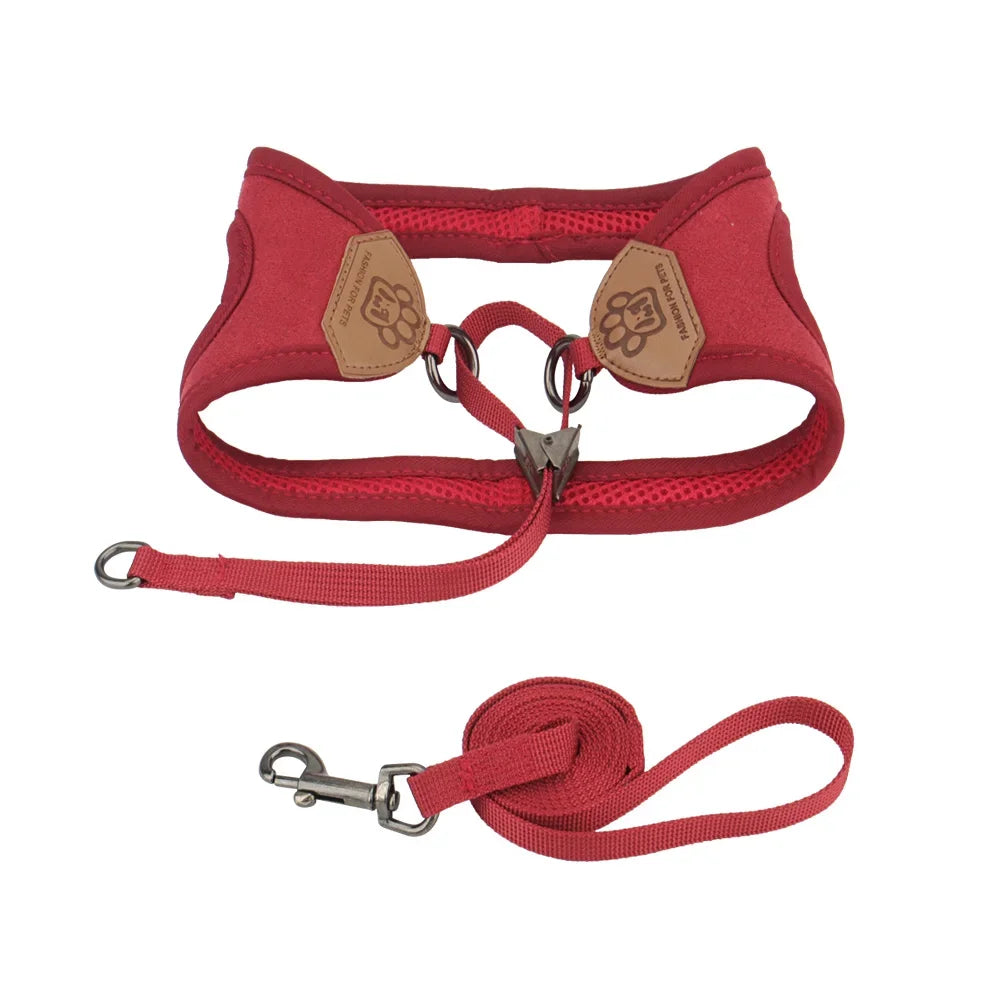 S1e83cf2b38f647e4906f10540b2f19ecr