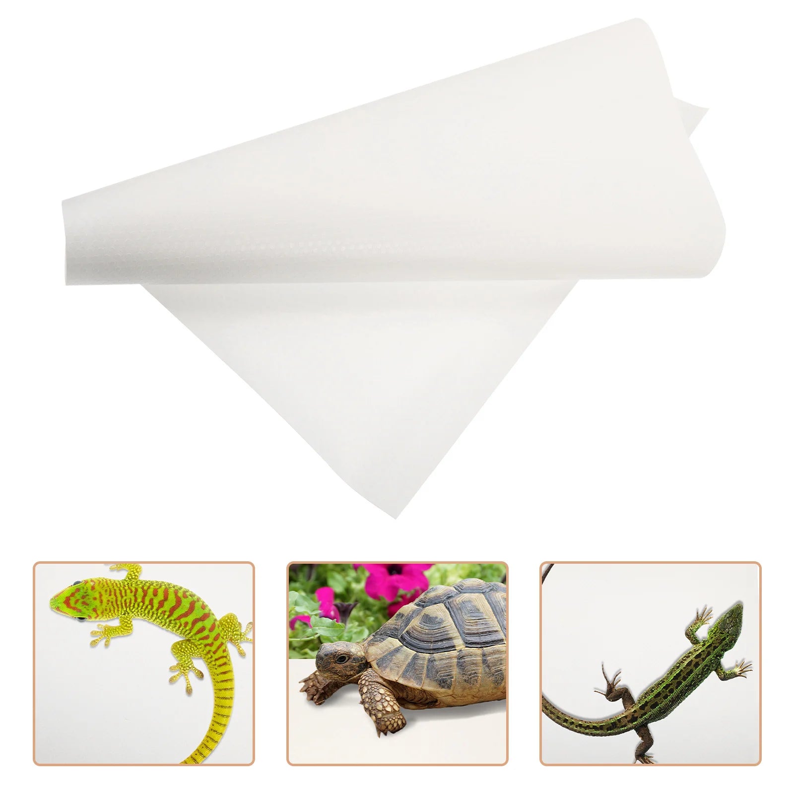 S40f44594e9a34394b3c5d77bfd40ec8az