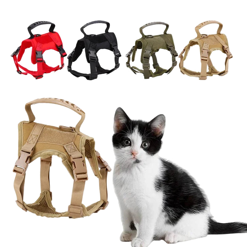 S4590215353f049dd8277d576d0e47872T