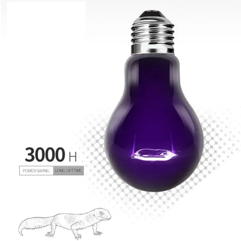 S45b57542c4554d23968cb918399a29abX