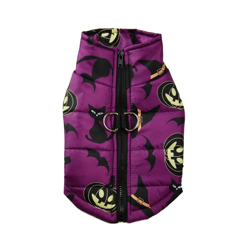 S464a5ecff5e348c582cf33afde64bdcdl