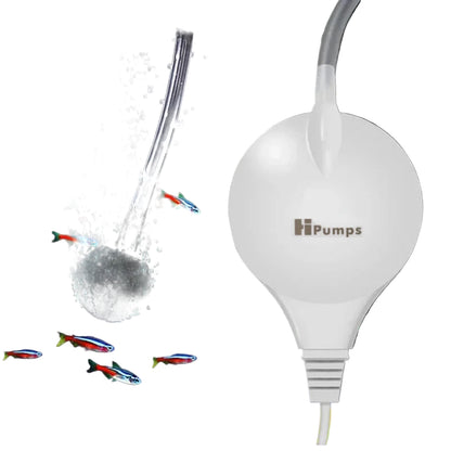 S53ed6ea549104911a4bb1f10c55d7925B