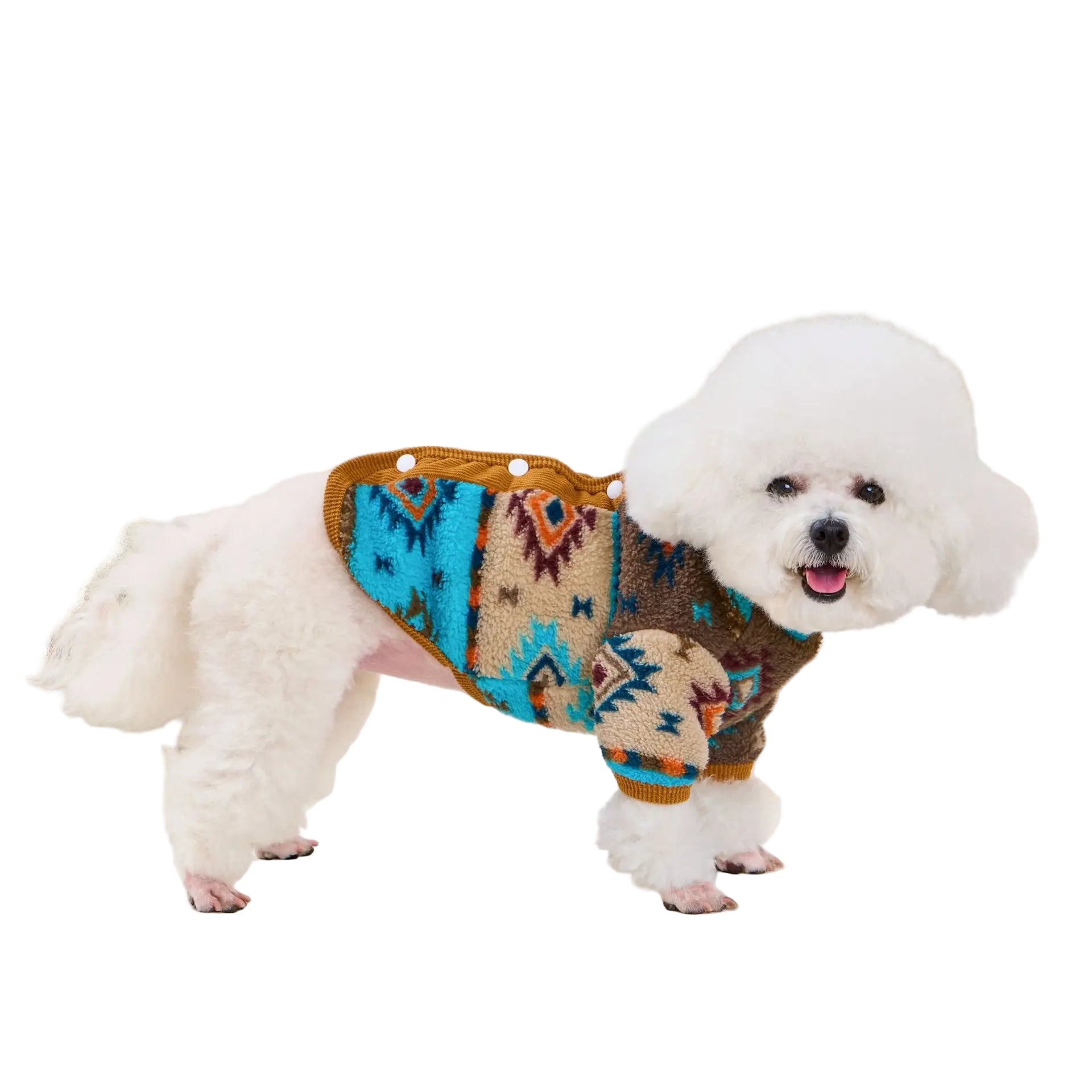 S54230303387c46e58d0c89025361c736P