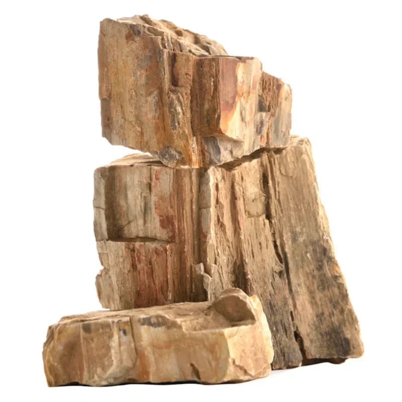 S588b5462a9fc4280ad06e3998545ae859